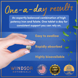 WINDSOR BOTANICALS empaque de hierro en caja GMP para seguridad.