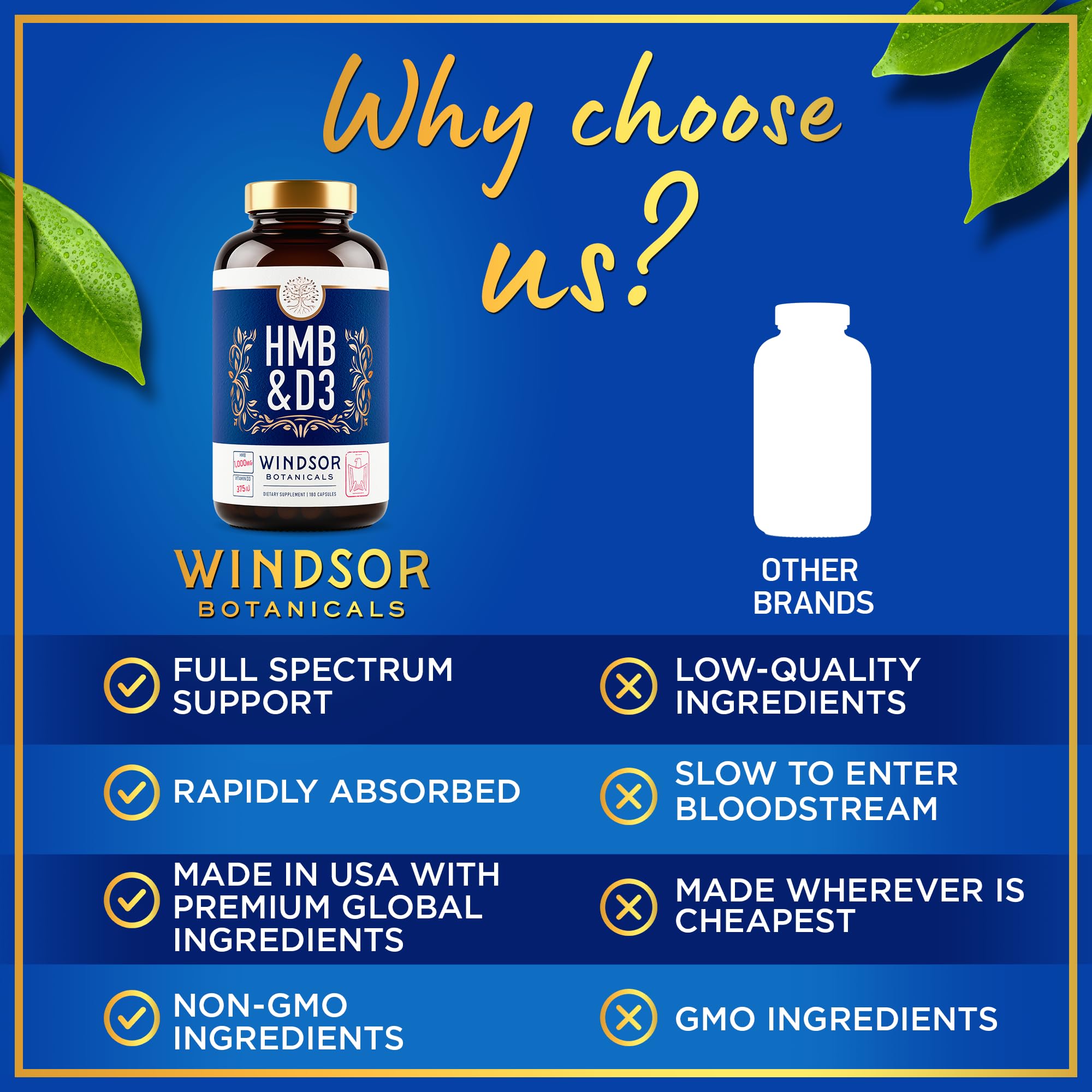 WINDSOR BOTANICALS HMB D3: posible apoyo al ánimo e inmunidad.