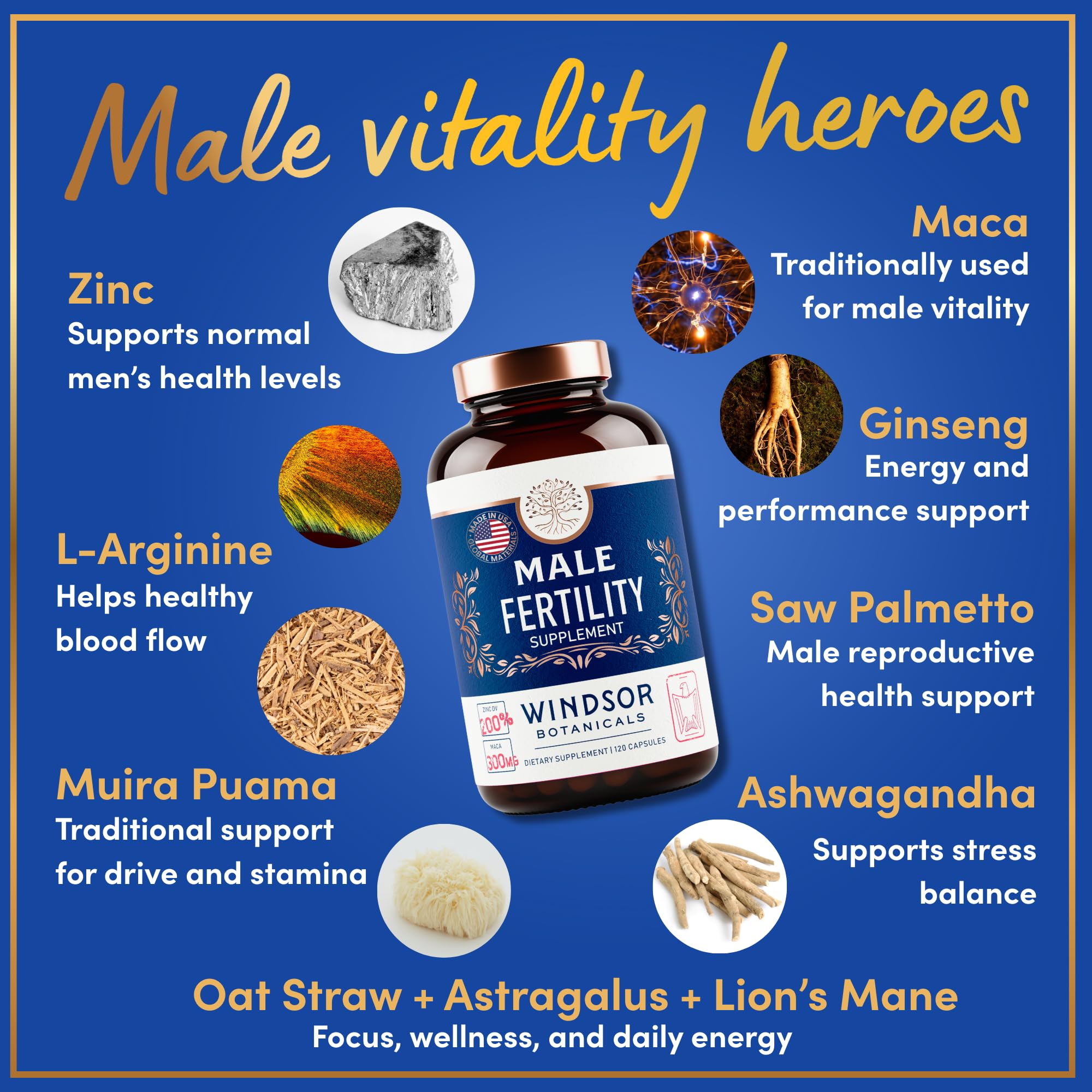WINDSOR BOTANICALS ginseng: extracto para energía sostenida