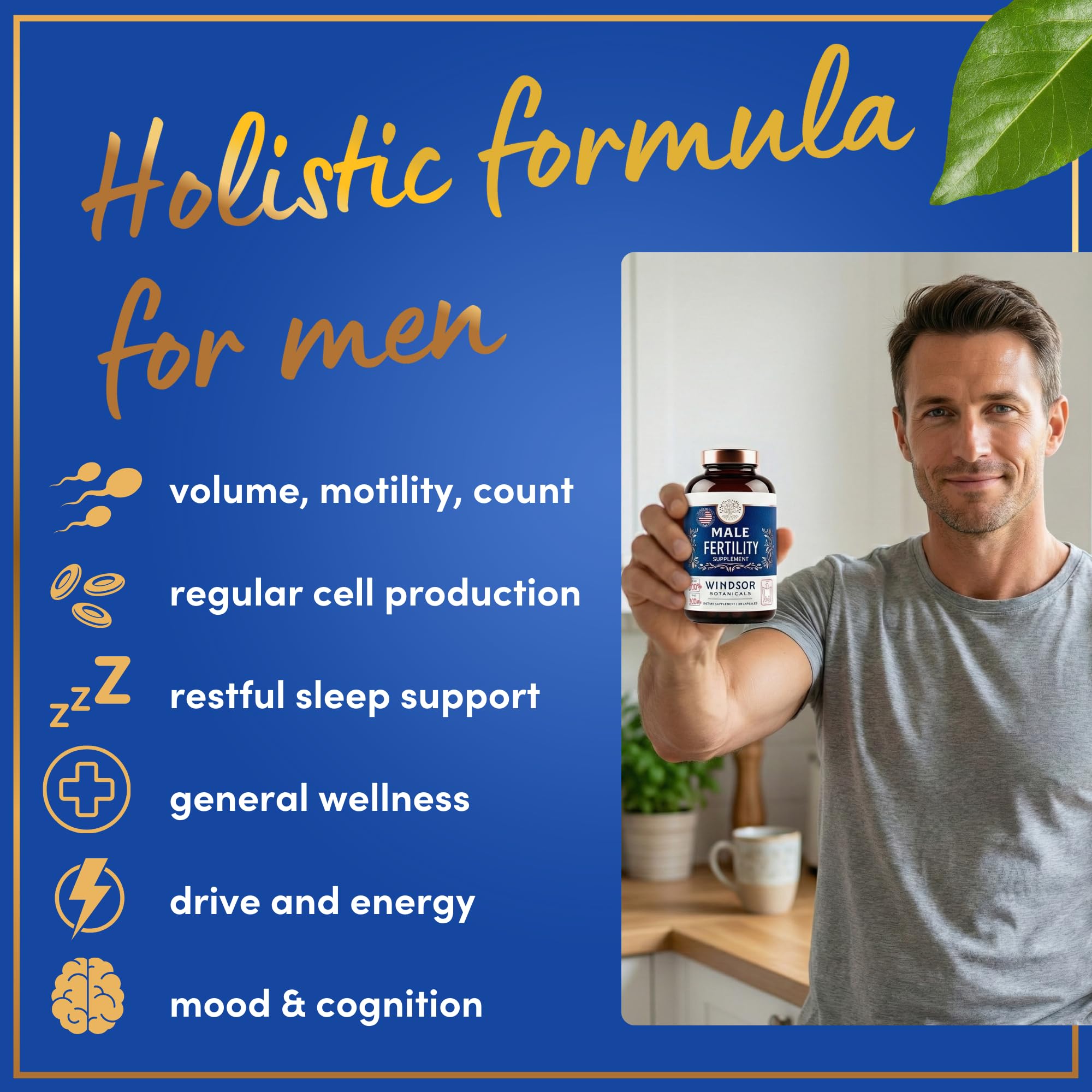 WINDSOR BOTANICALS maca-ashwaganda-melena-de-león: mezcla natural para equilibrio