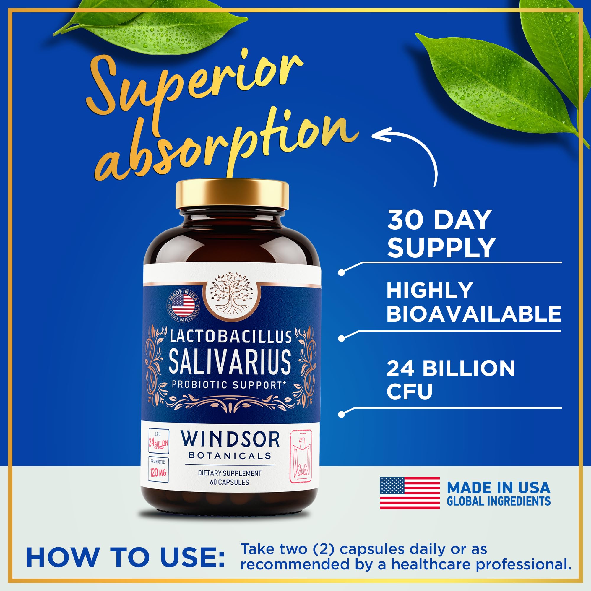WINDSOR BOTANICALS lactobacillus-salivarius-encias-dientes: cuidado básico de dientes y encías.