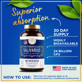 WINDSOR BOTANICALS lactobacillus-salivarius-encias-dientes: cuidado básico de dientes y encías.