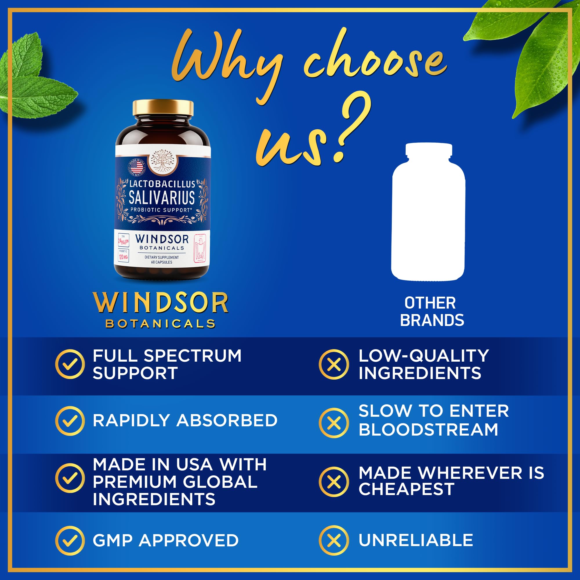 WINDSOR BOTANICALS sistema-inmune-apoyo: puede contribuir al bienestar general.