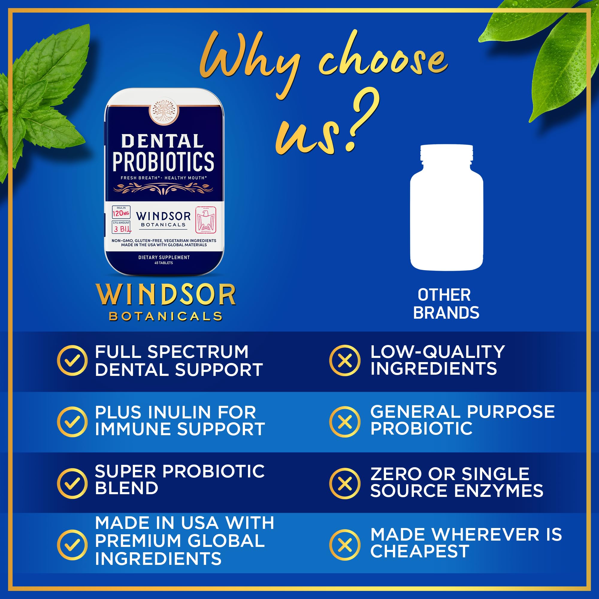 WINDSOR BOTANICALS Lactobacillus salivarius para dientes y encías saludables