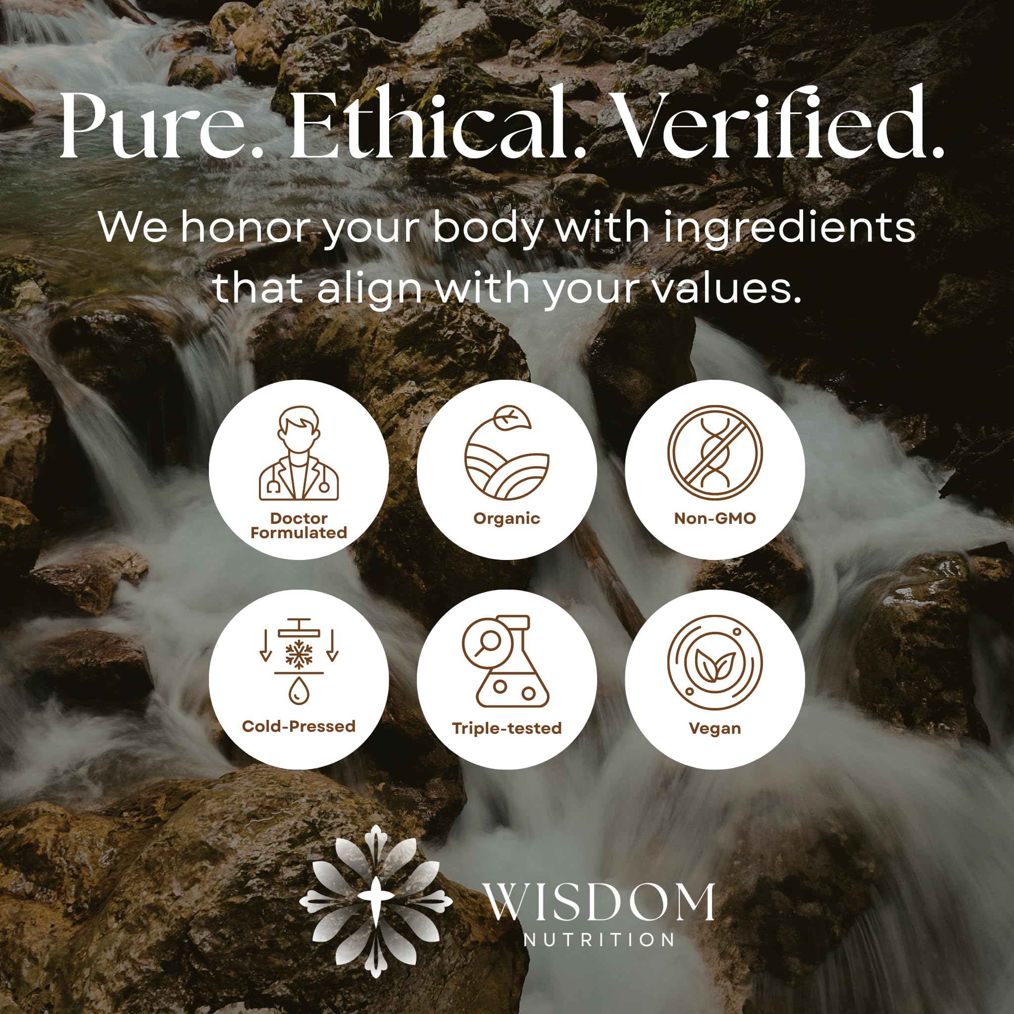 Wisdom Nutrition detox digestivo con cardo mariano y cúrcuma para apoyo suave.
