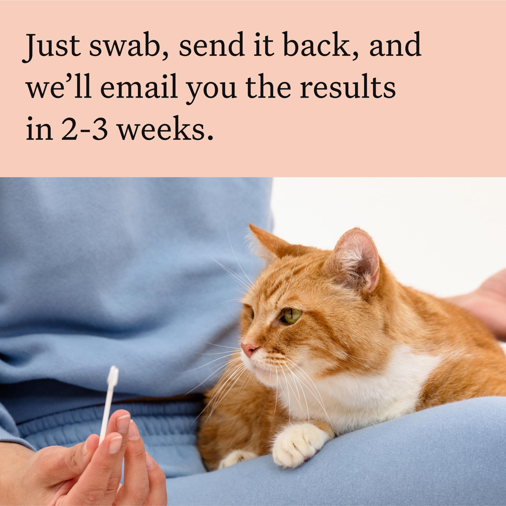 Análisis de 25 rasgos por Wisdom Panel para entender la apariencia