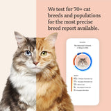 Informe de salud genética de Wisdom Panel para tu gato