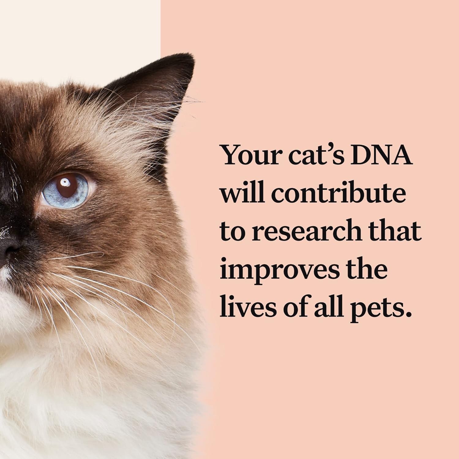 Comparar resultados con millones de mascotas para investigación