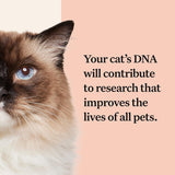 Comparar resultados con millones de mascotas para investigación