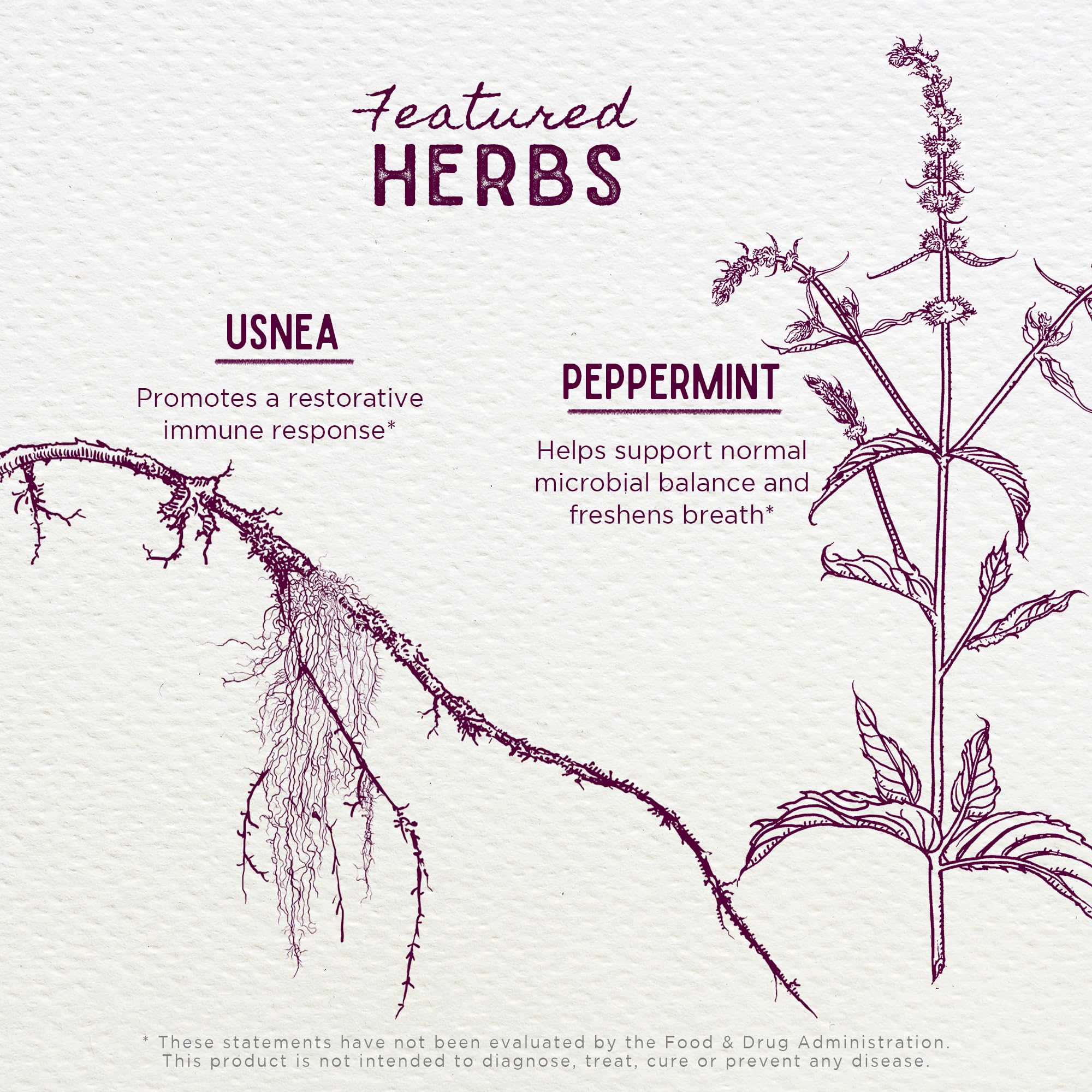 Usnea, ingrediente de WishGarden Gum Strength para enjuague suave.