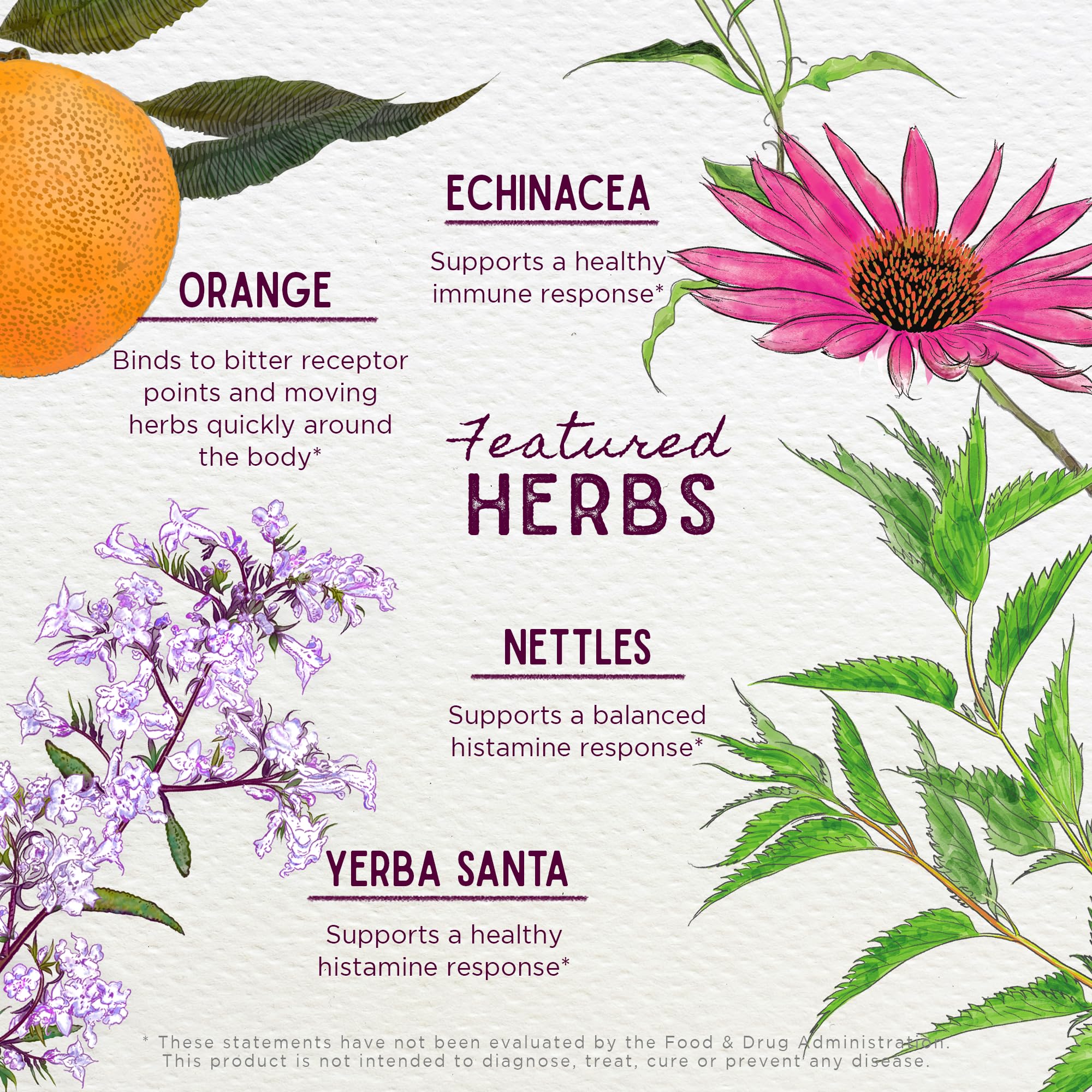 WishGarden Kick-Ass Allergy, ingredientes orgánicos y cosecha silvestre para calidad.