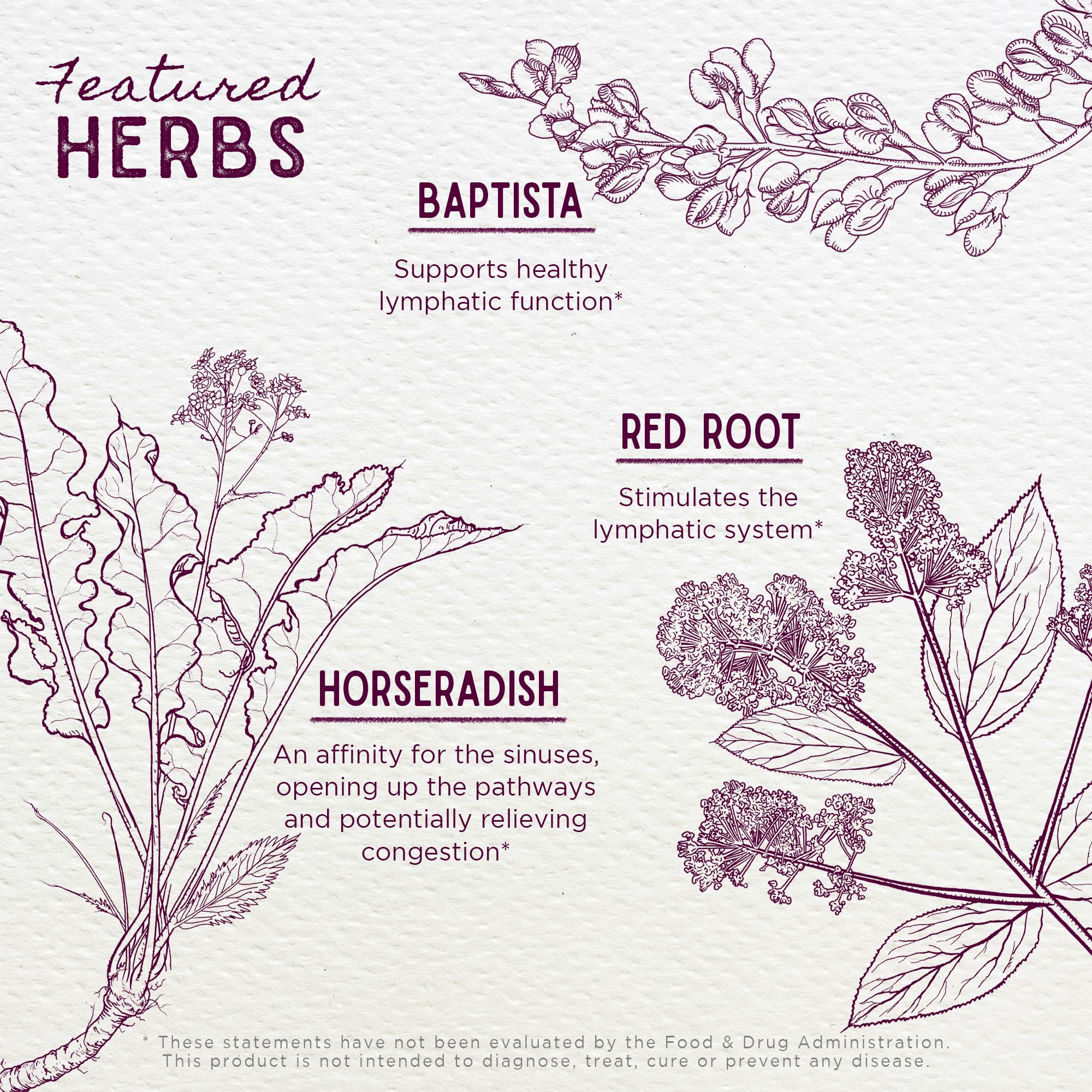Mezcla herbal de Kick-Ass Sinus con ajo, rábano picante y salvia.