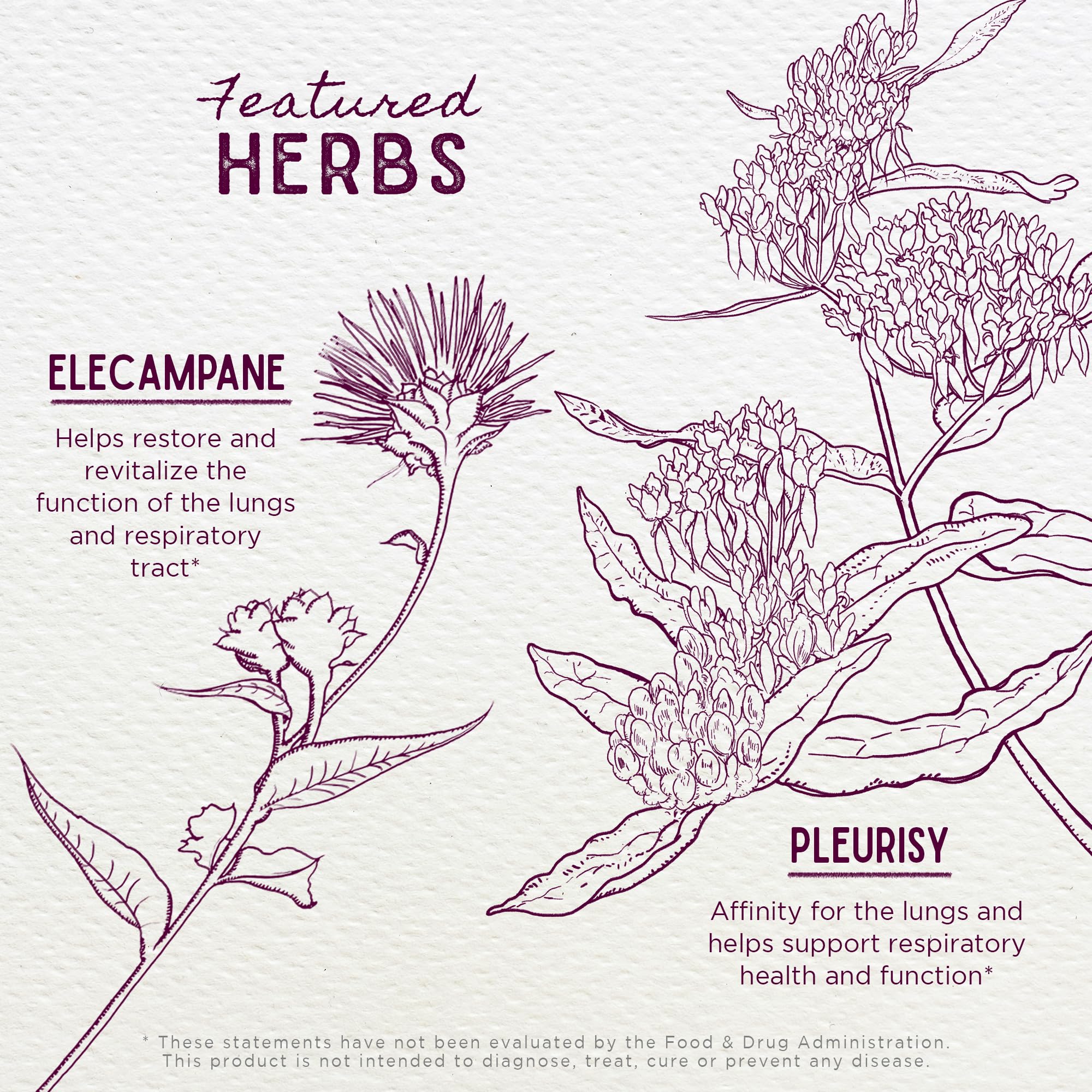 WishGarden Serious Cough: mezcla-hierbas con aroma herbal para una experiencia natural.