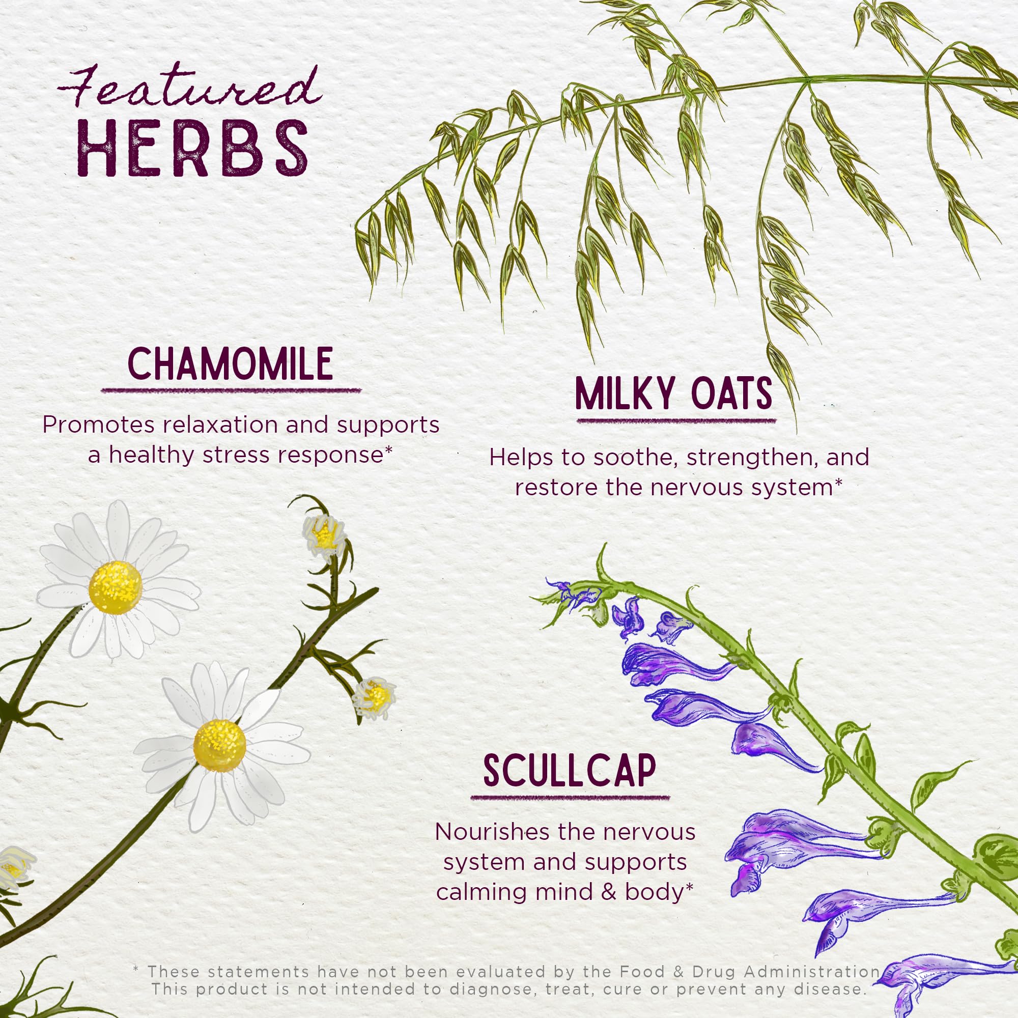 WishGarden Sleepy Nights ingredientes botánicos para descanso natural