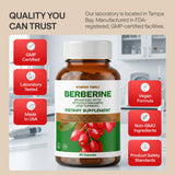 Dosis diaria de WONDER FAMILY Berberine para consistencia
