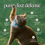 Formato líquido de Wonder Paws lisina, bio-disponible para gatos