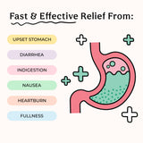 Wonderbelly botella reciclable de 48 tabletas para alivio digestivo práctico.