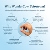 Envase WonderCOW Colostro de 30 porciones para uso diario.
