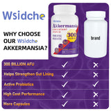 Wsidche Akkermansia porciones diarias: dosis simples para uso constante