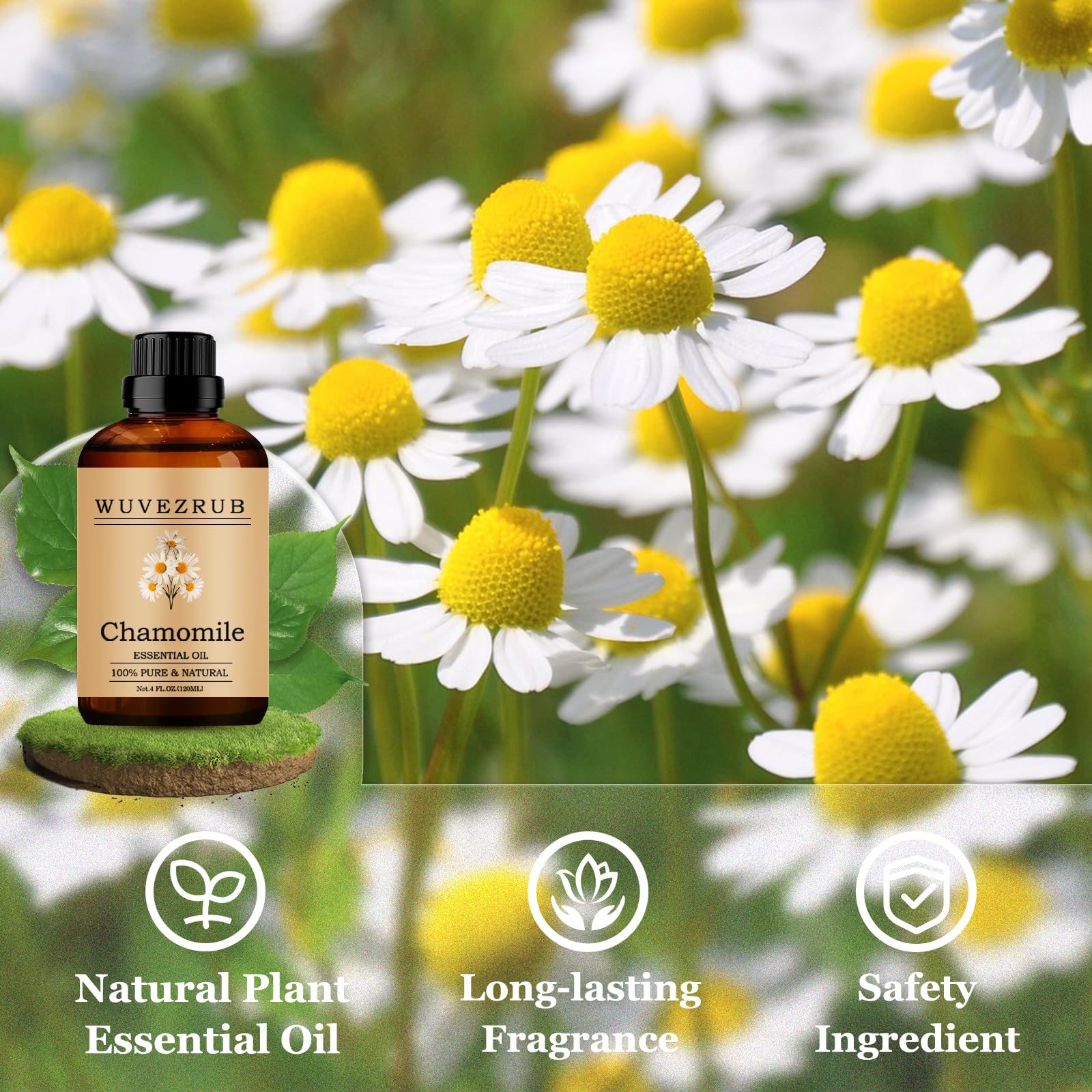 Wuvezrub aceite de manzanilla para velas y jabones, fragancia duradera.