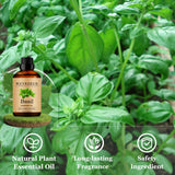 Wuvezrub albahaca fragancia para creaciones caseras como velas y jabones.
