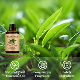Wuvezrub Árbol de Té, fragancia casera para jabón o vela, aroma duradero