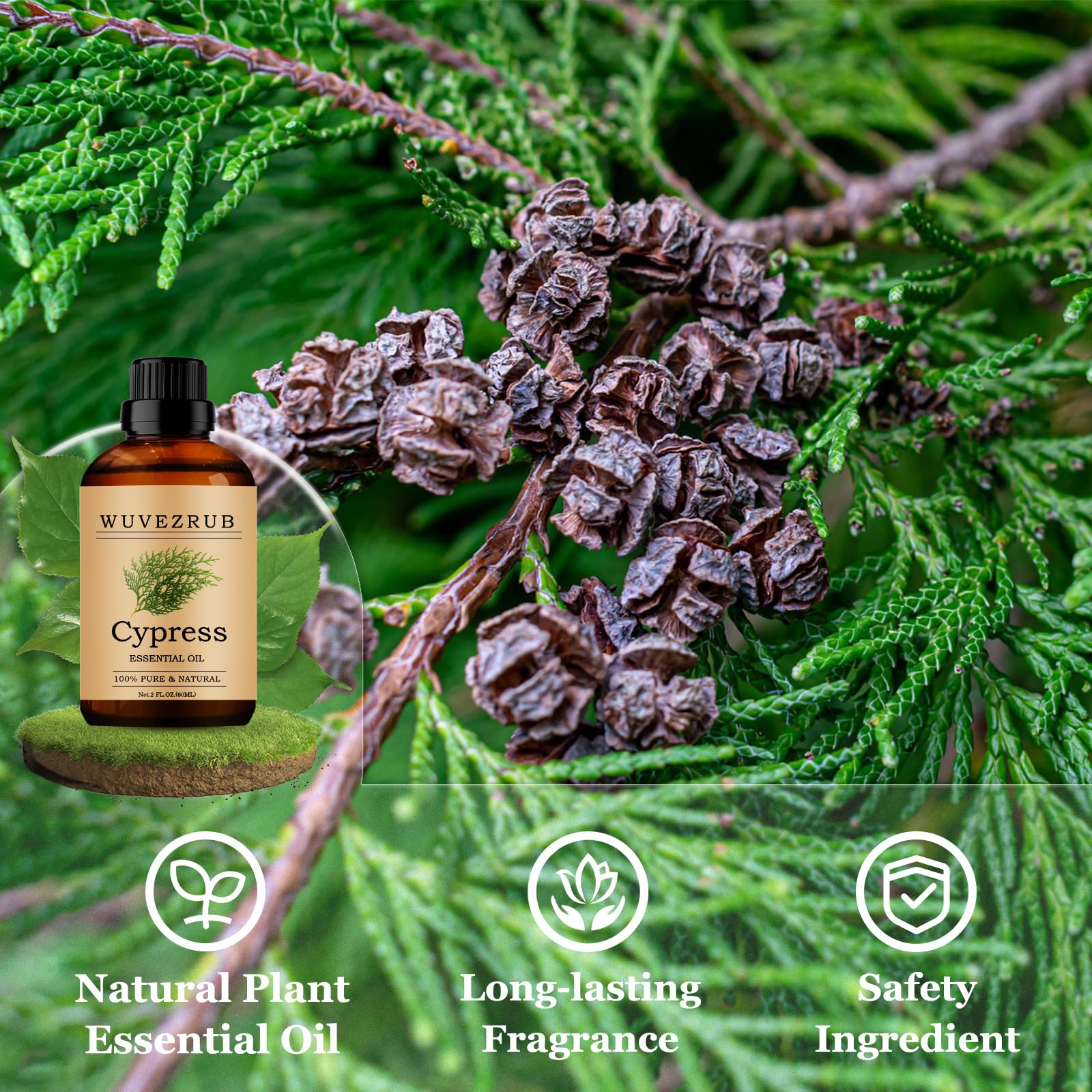 Wuvezrub Ciprés: fragancia para velas y jabones con aroma duradero.