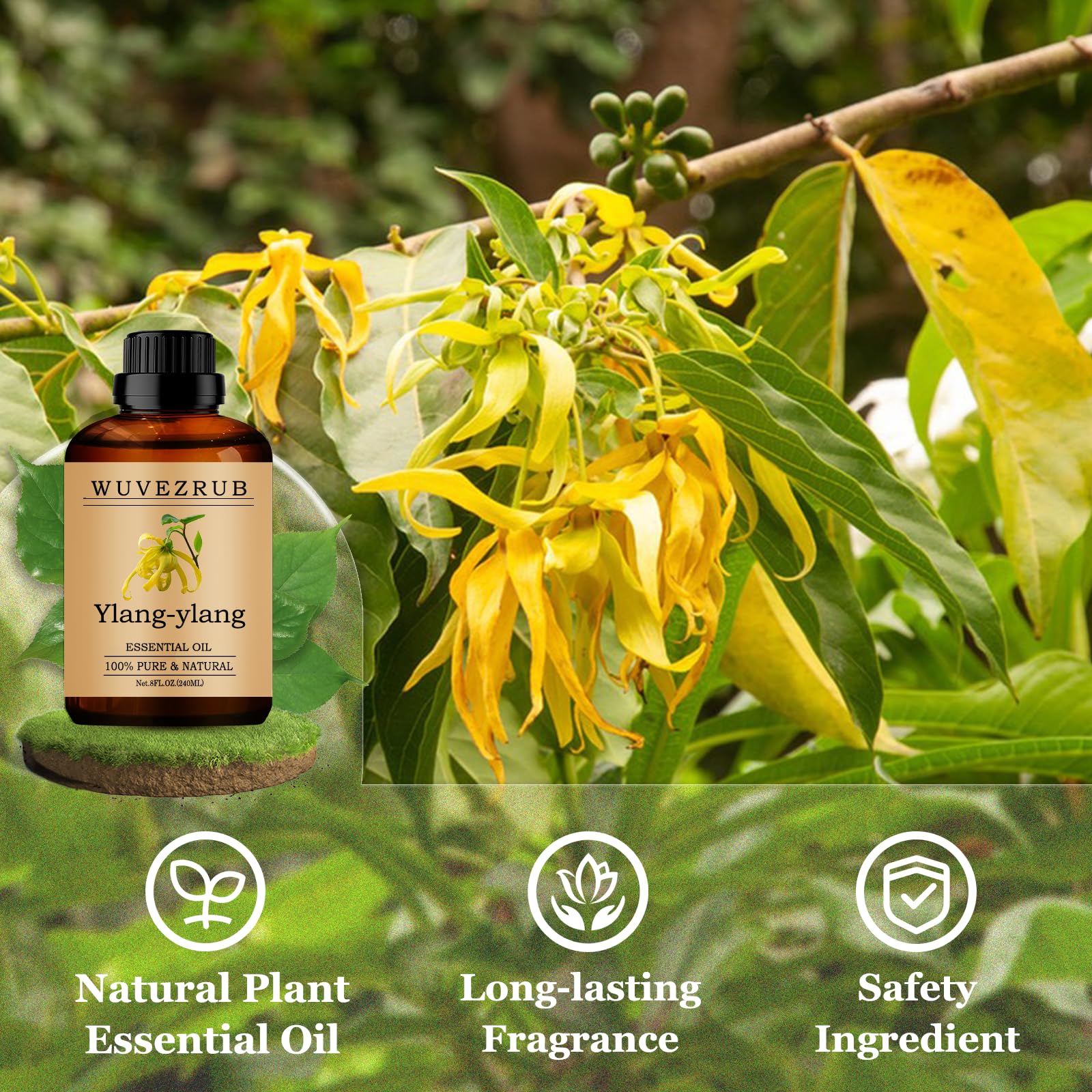 Wuvezrub fragancias caseras: mezclas de Ylang-Ylang para velas y jabones.