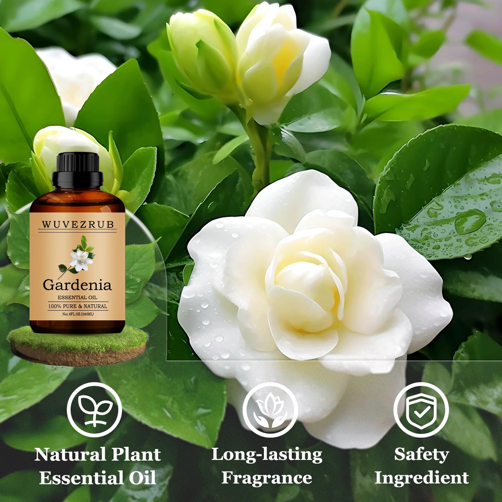 Wuvezrub Gardenia: fragancia floral de larga duración para velas o jabones.
