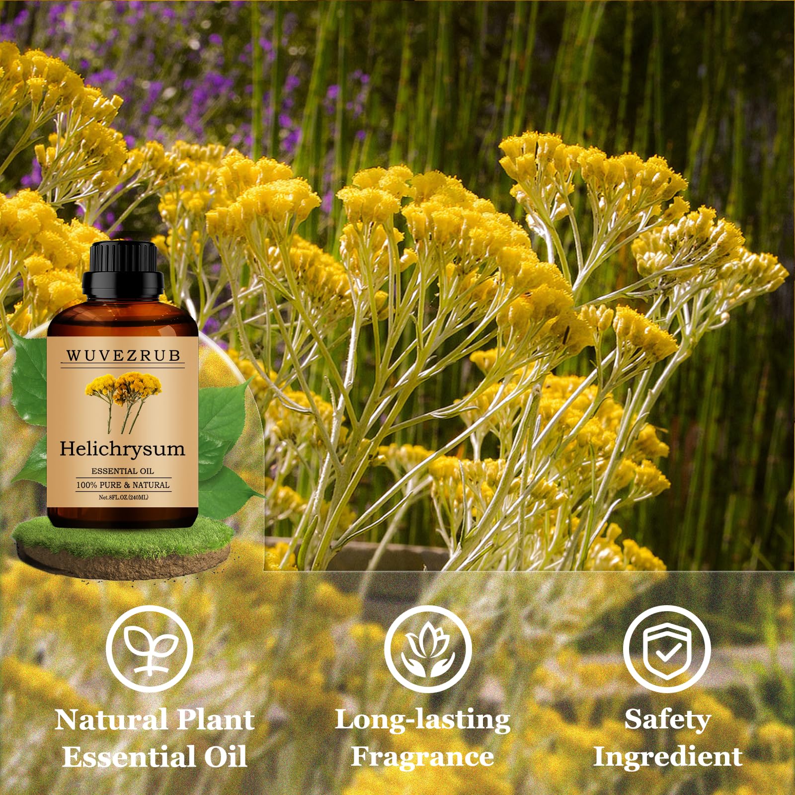 Wuvezrub Helichrysum para fragancias DIY: perfuma velas y jabones.