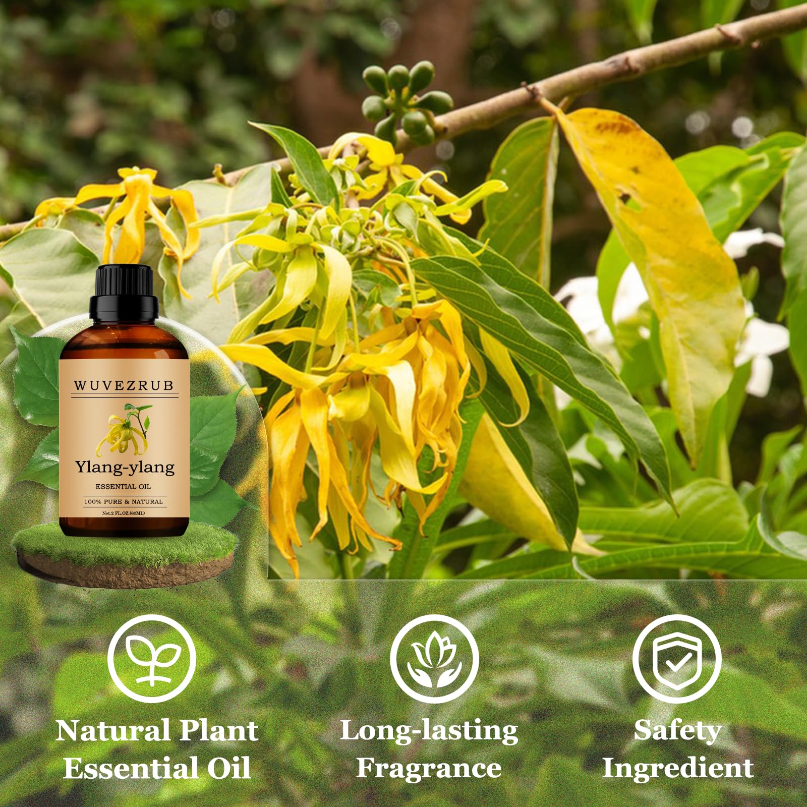Wuvezrub Ylang-Ylang: fragancia casera para velas y jabones.