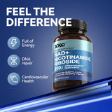 XKQ NAD ingredientes liposomales, fórmula estable para absorción.