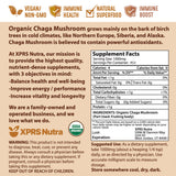 Textura fina de Chaga XPRS Nutra, fácil de mezclar en líquidos.