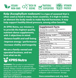 XPRS Nutra minerales e yodo del kelp, apoyo nutricional potencial.