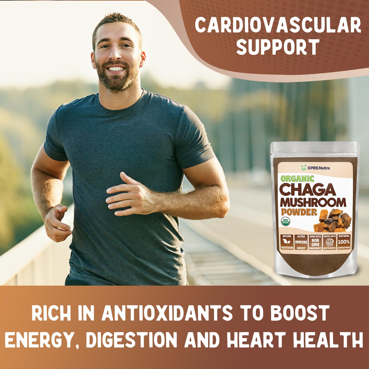 XPRS Nutra polvo chaga orgánico polvo suelto listo para mezclar