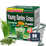 YAMAKAN polvo de pasto de cebada joven en bote verde para rituales diarios de bienestar