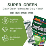 YAMAKAN polvo hierba cebada, ingrediente natural para una merienda saludable.