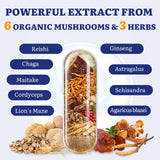 Cápsulas Yasumako Reishi 1500mg: fuente de compuestos activos para enfoque.