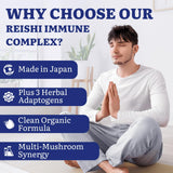 Origen japonés de Yasumako Reishi, calidad y pureza en cada cápsula.