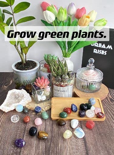 Piedras YATOJUZI para decoración feng shui y acuario.