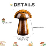 YATOJUZI regalo ideal ojo de tigre para amantes de cristales y bienestar.