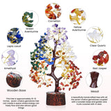Yatskia arbol chakras cornalina para energia creativa y vitalidad diaria