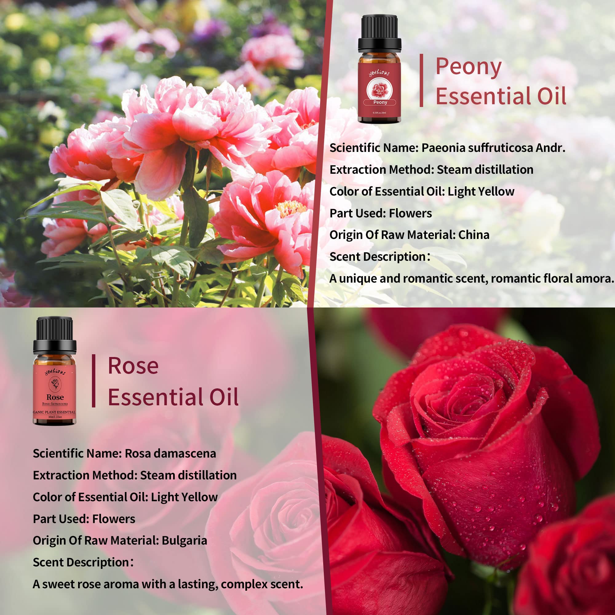 Aceite esencial de rosa Yethious en difusor para aroma suave.