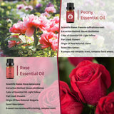 Aceite esencial de rosa Yethious en difusor para aroma suave.