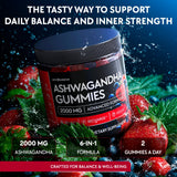 Etiqueta de YOLOBALANCE Ashwagandha Gummies con información de ingredientes.