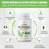 Yokaba Moringa: vitaminas y minerales para apoyo inmune natural