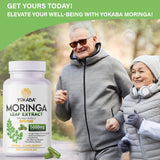 Yokaba Moringa: legado familiar y cultivo tradicional con ciencia moderna