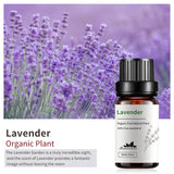 YoooJOY lavanda con difusor para crear un aroma suave en el hogar.