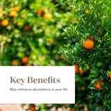 Young Living Abundancia fragancia naranja-rosado, aroma natural para uso diario en difusión.