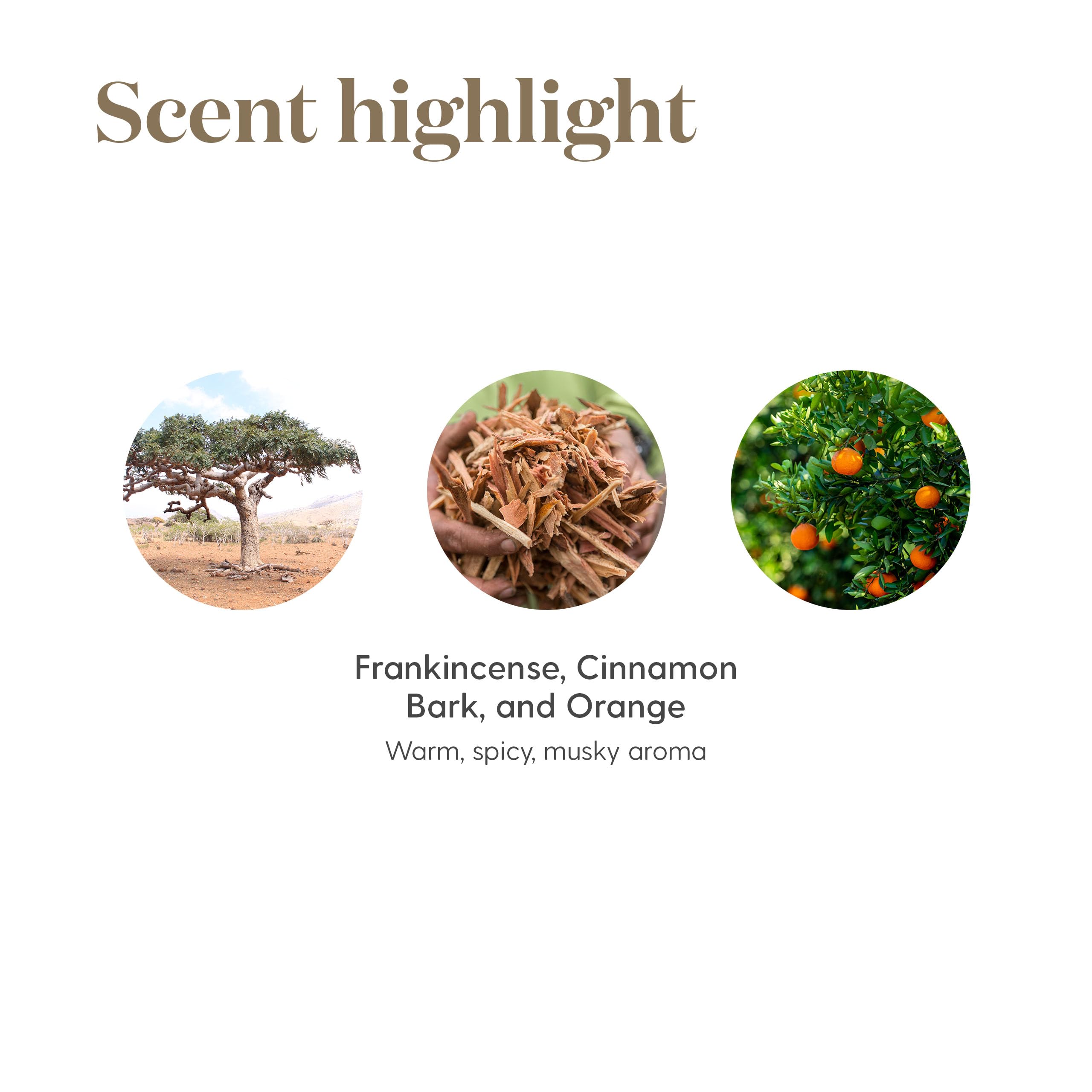 Young Living Abundancia ingredientes-naturales, aceites esenciales de alta calidad.
